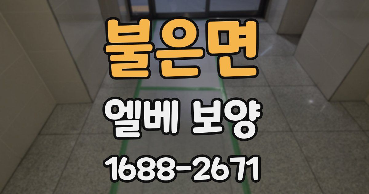 불은면 엘베 보양