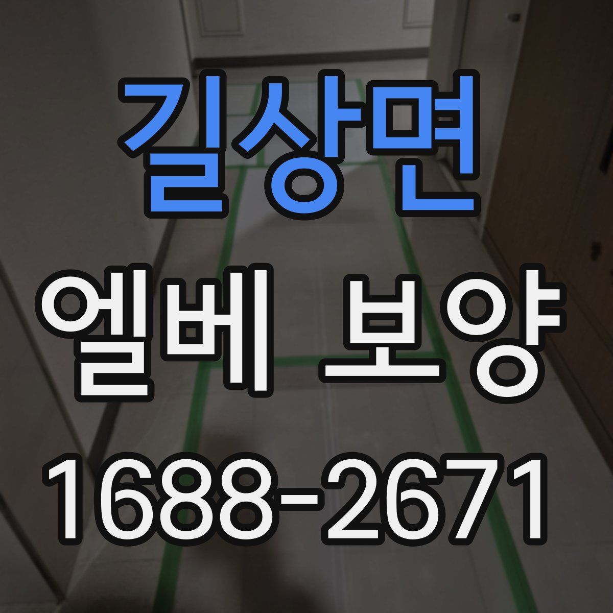 길상면 엘베 보양
