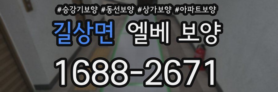 길상면 엘베 보양