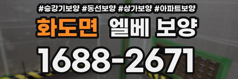 화도면 엘베 보양