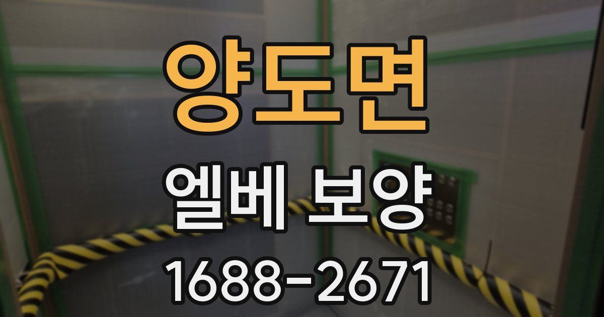 양도면 엘베 보양