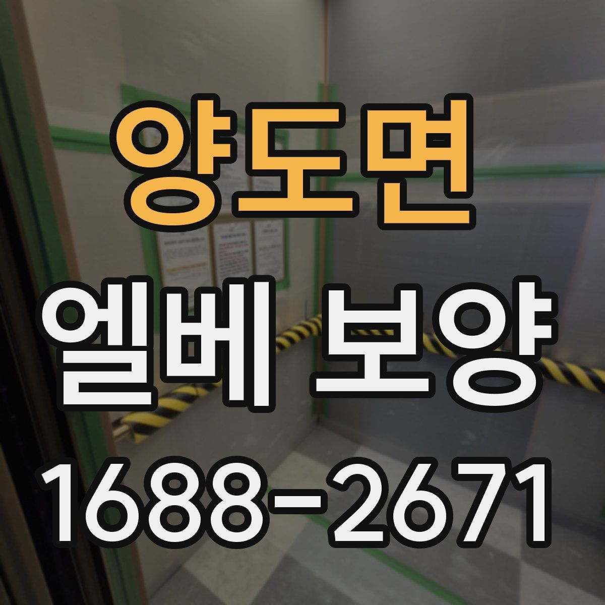 양도면 엘베 보양