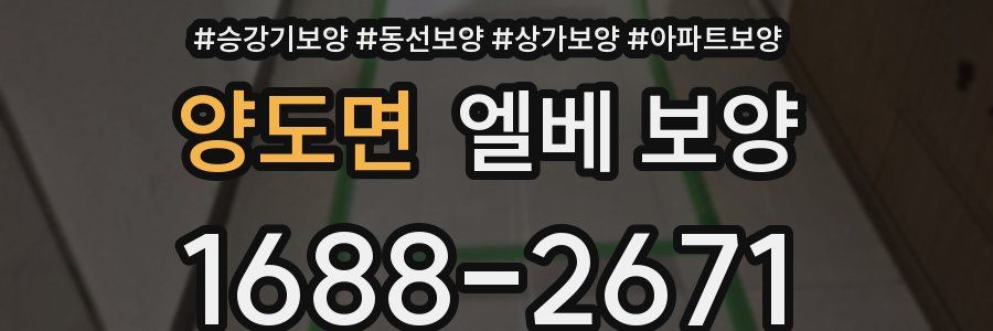 양도면 엘베 보양