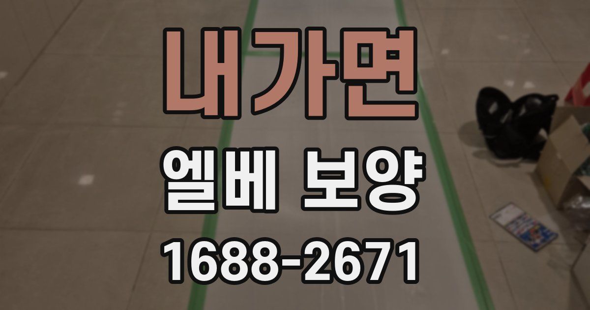 내가면 엘베 보양