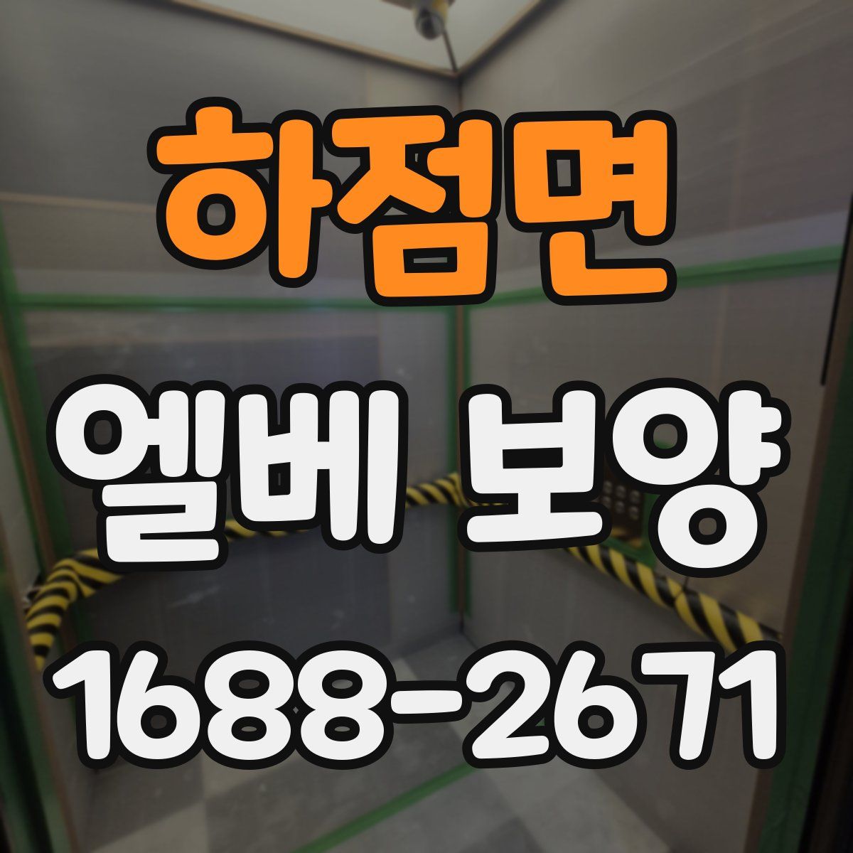하점면 엘베 보양