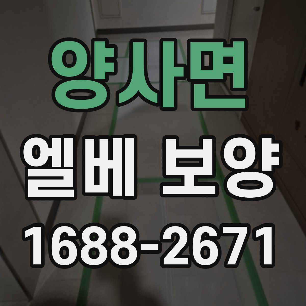양사면 엘베 보양
