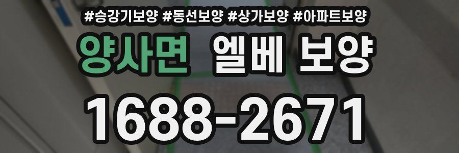 양사면 엘베 보양