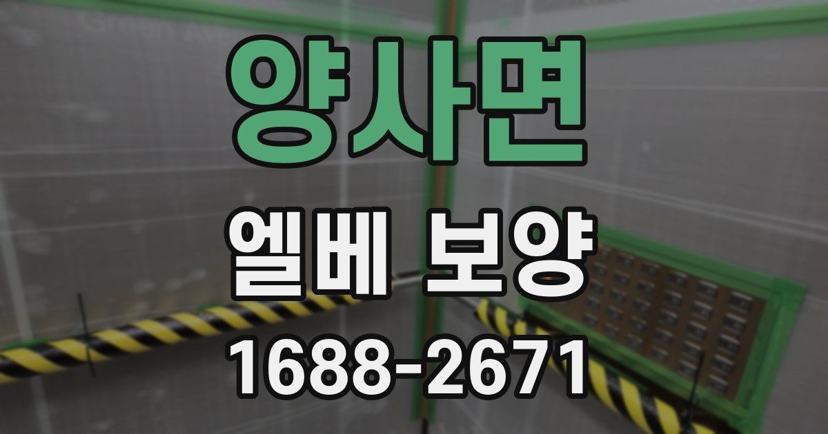 양사면 엘베 보양