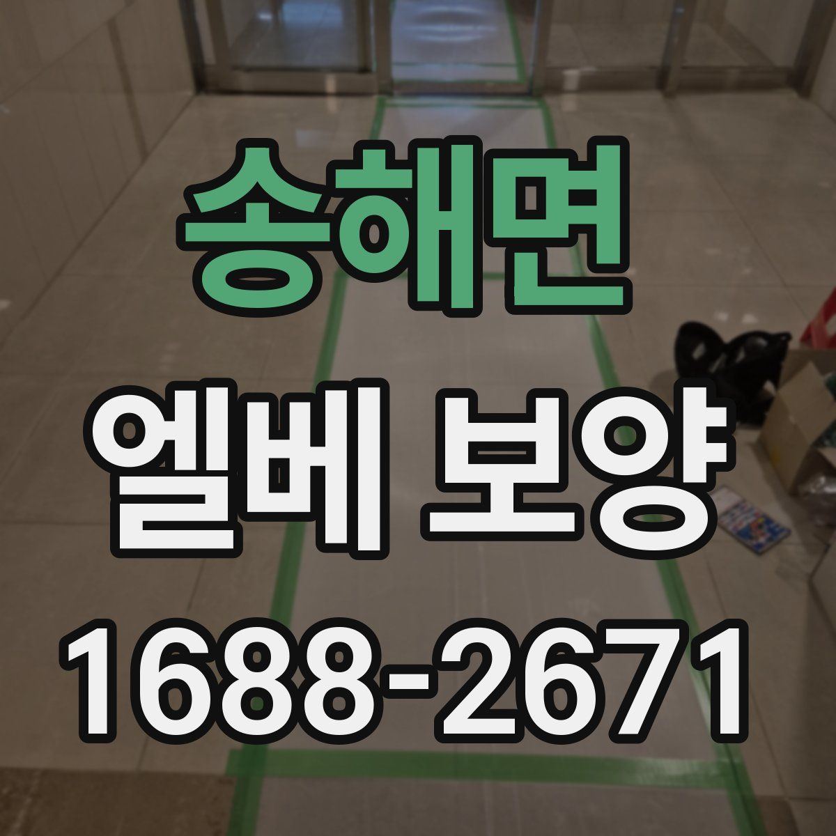 송해면 엘베 보양
