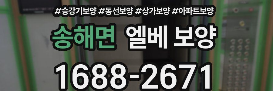 송해면 엘베 보양