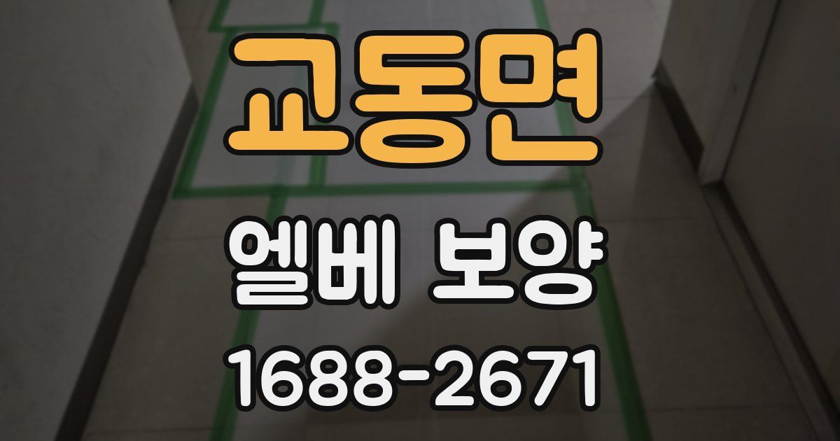 교동면 엘베 보양