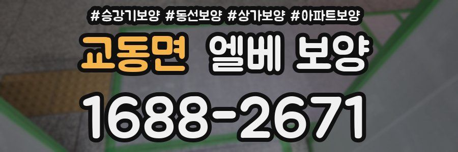교동면 엘베 보양