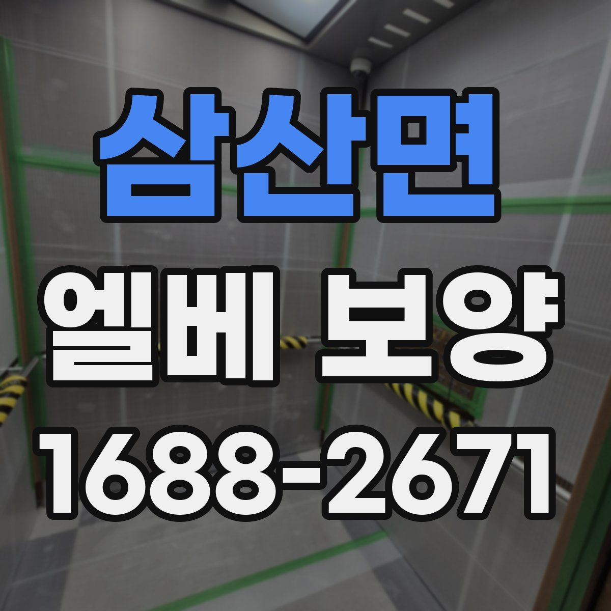 삼산면 엘베 보양
