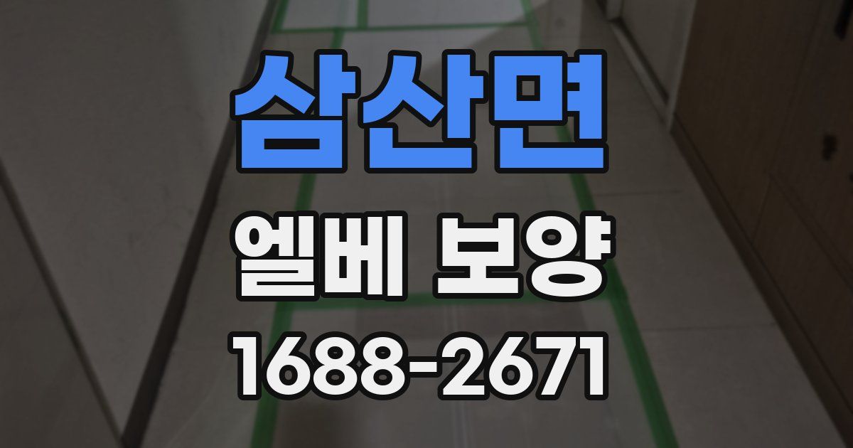 삼산면 엘베 보양