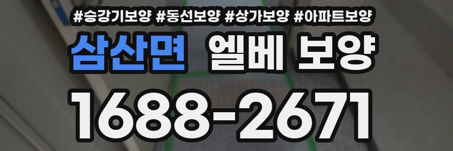 삼산면 엘베 보양