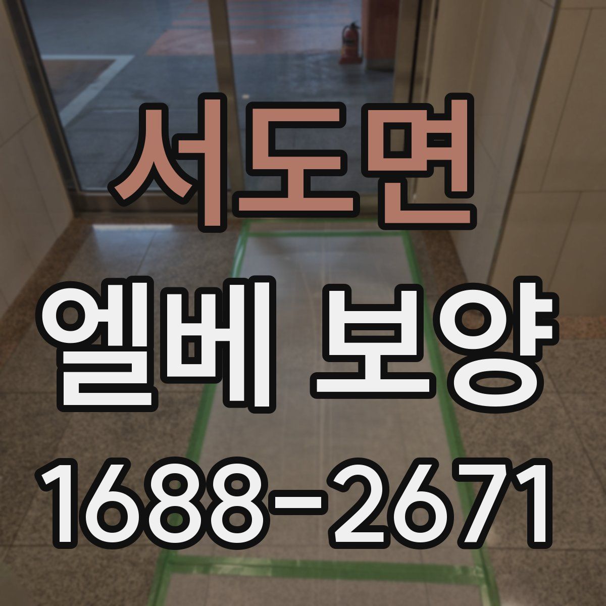 서도면 엘베 보양