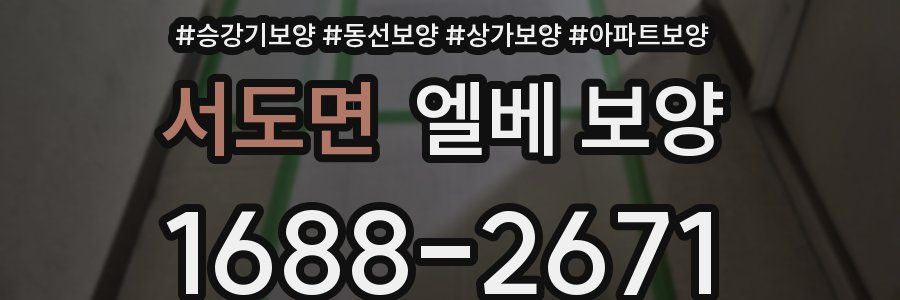 서도면 엘베 보양