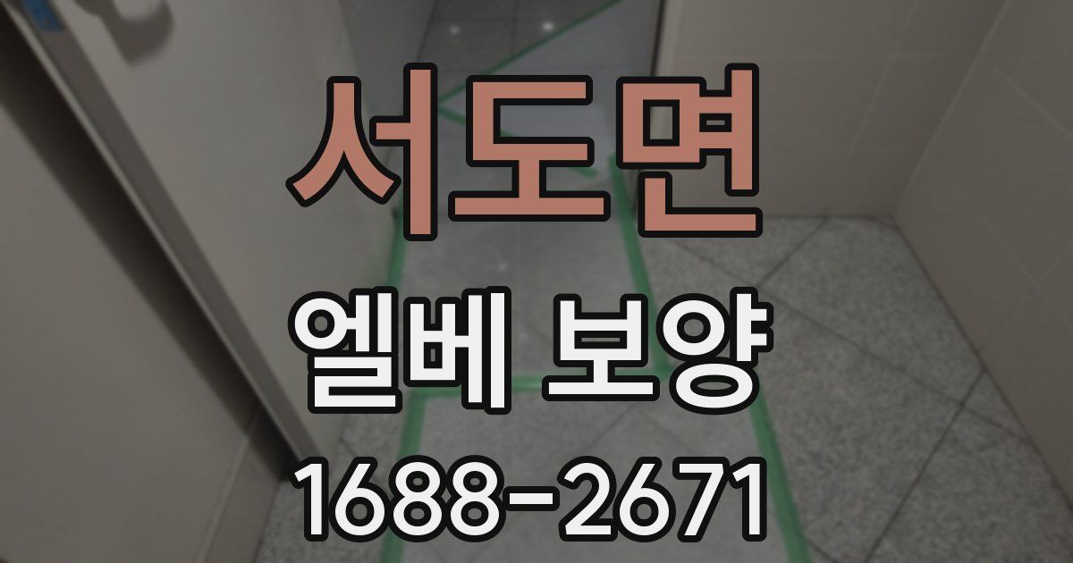 서도면 엘베 보양