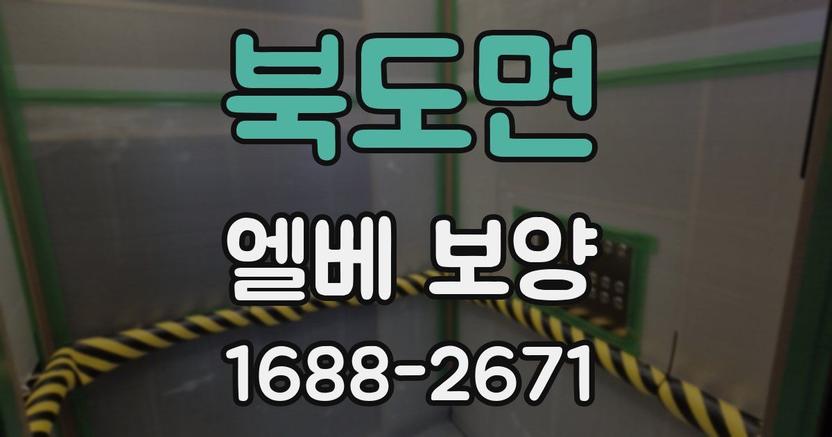 북도면 엘베 보양