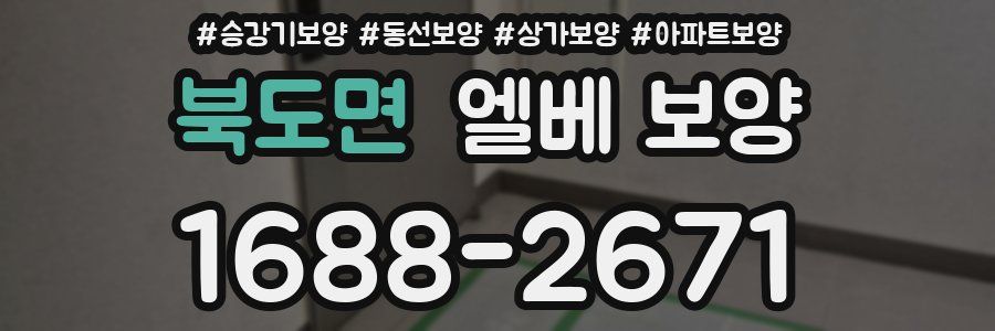 북도면 엘베 보양
