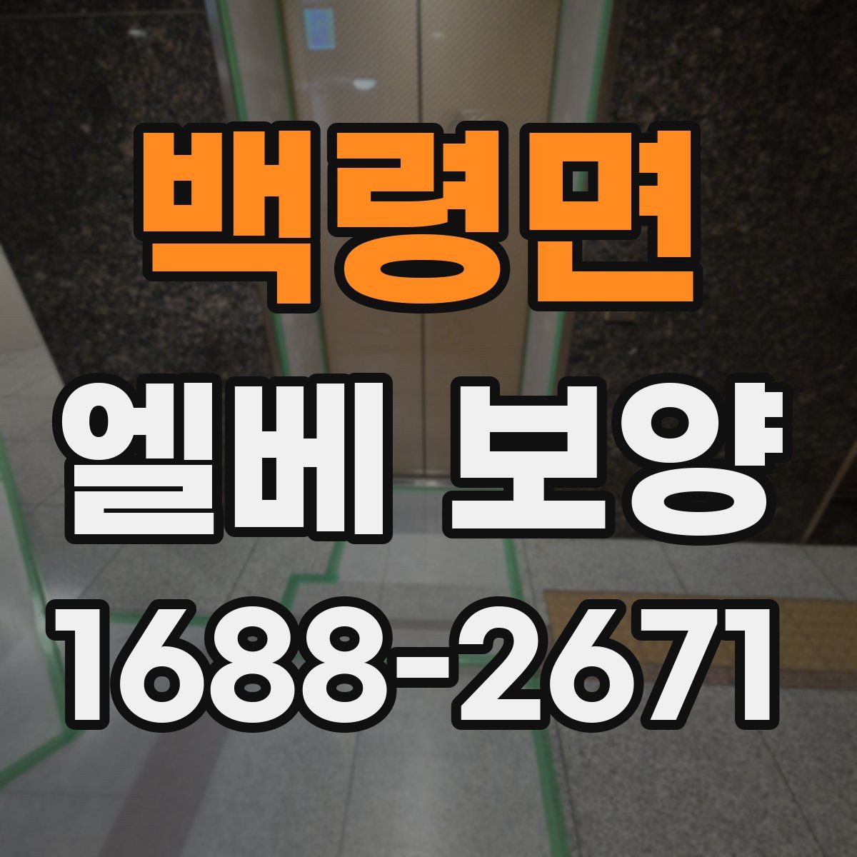 백령면 엘베 보양