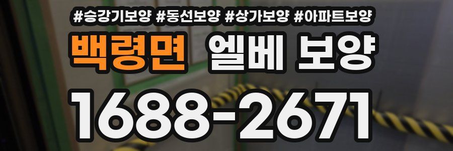 백령면 엘베 보양