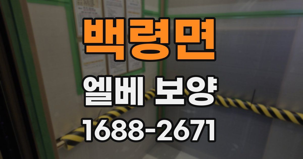 백령면 엘베 보양