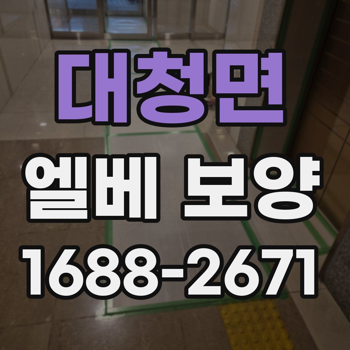 대청면 엘베 보양