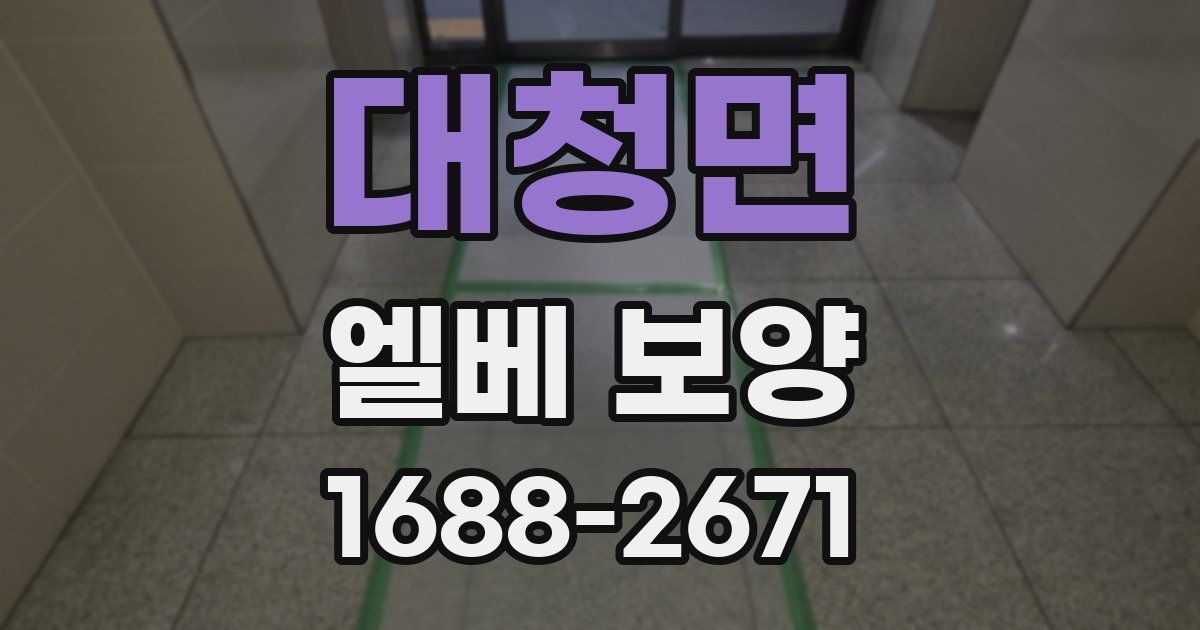 대청면 엘베 보양