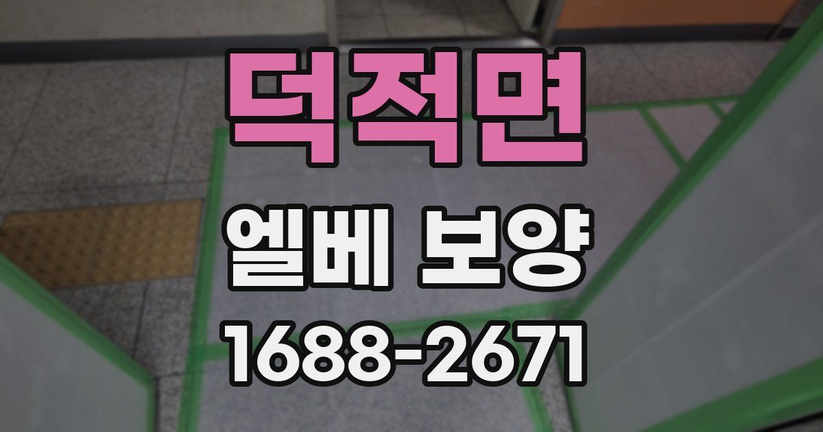 덕적면 엘베 보양