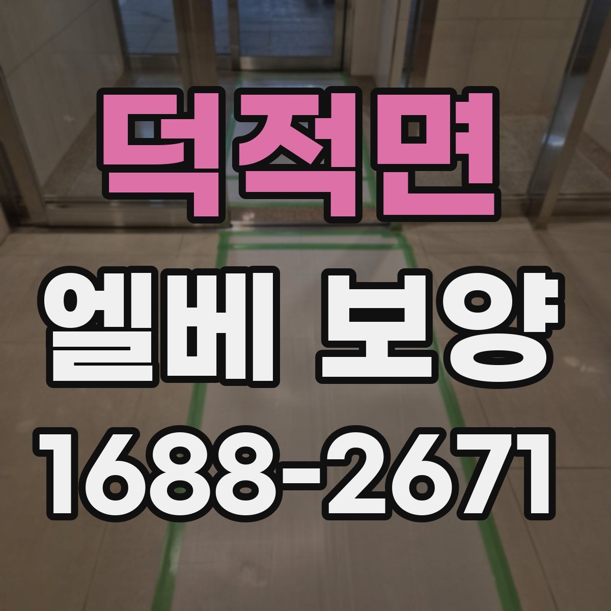 덕적면 엘베 보양
