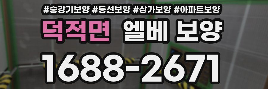 덕적면 엘베 보양