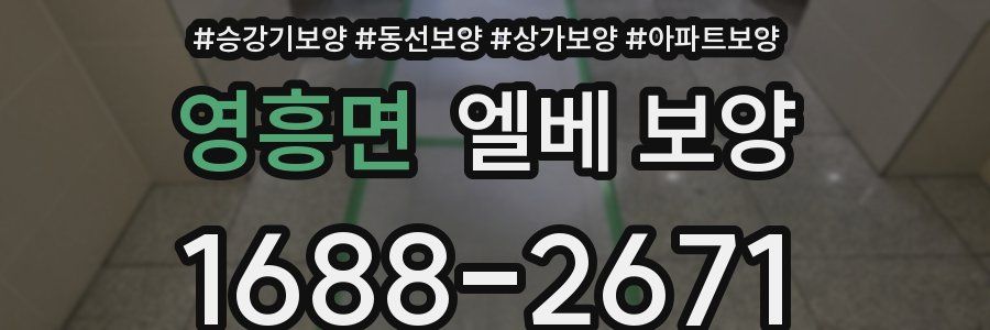 영흥면 엘베 보양