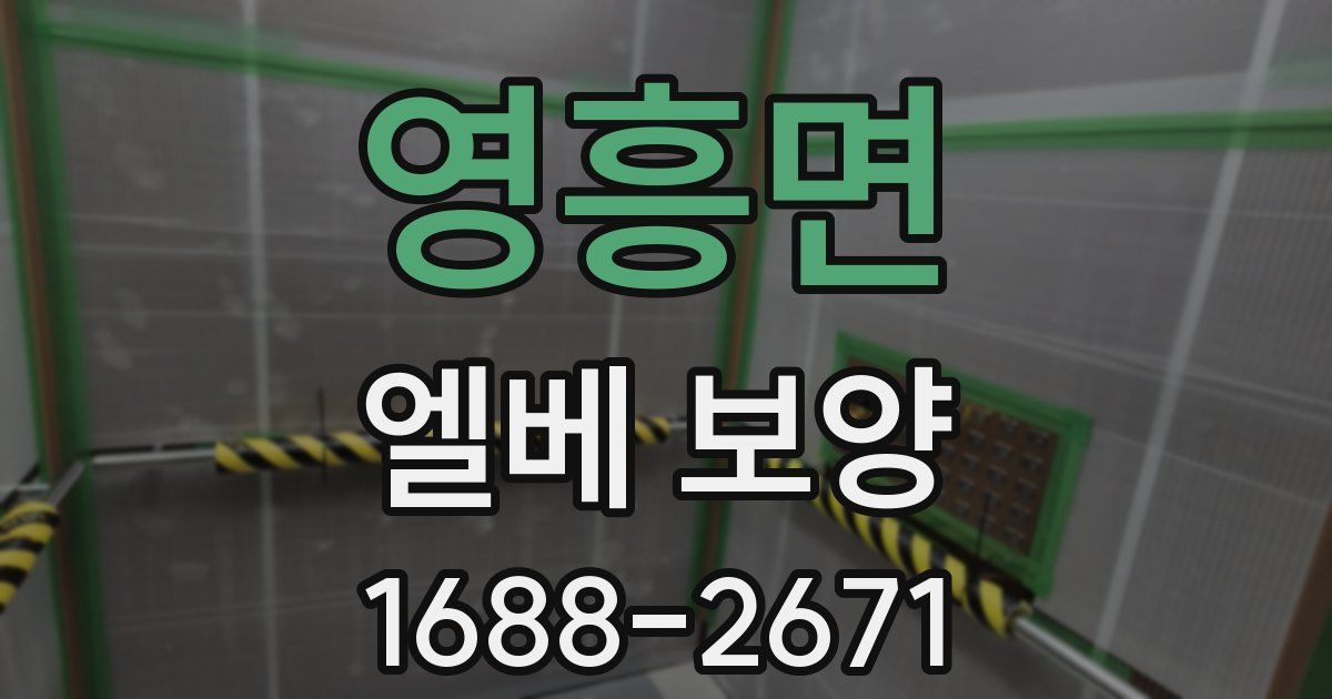 영흥면 엘베 보양