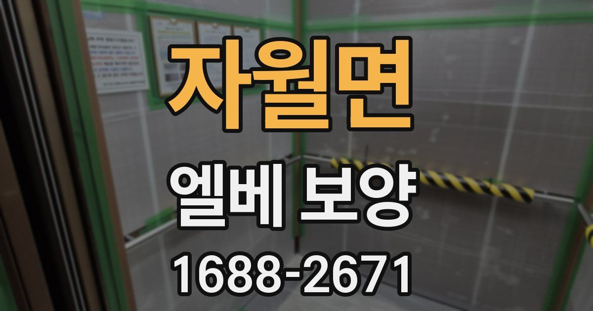 자월면 엘베 보양