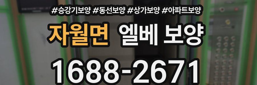 자월면 엘베 보양