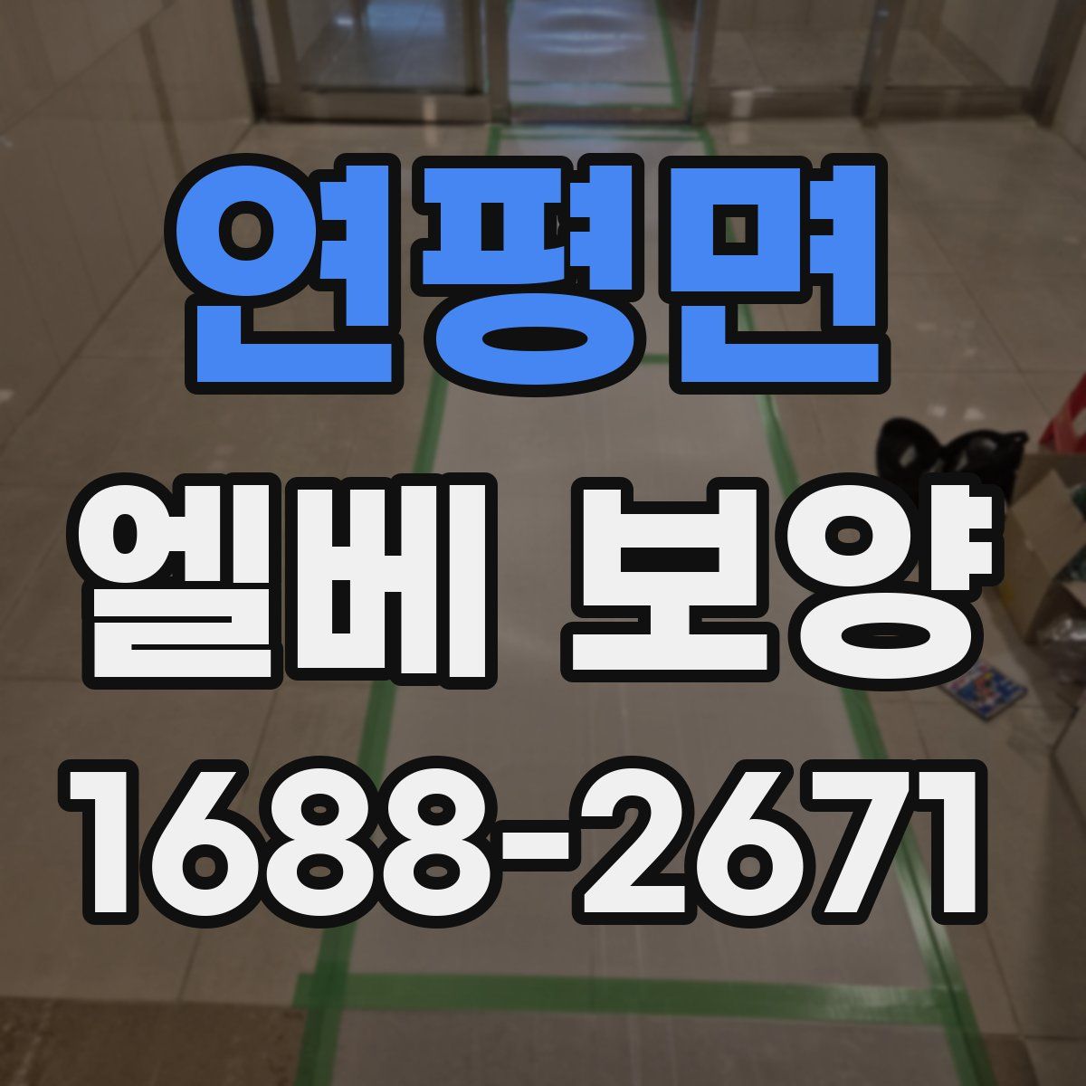 연평면 엘베 보양