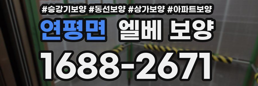 연평면 엘베 보양
