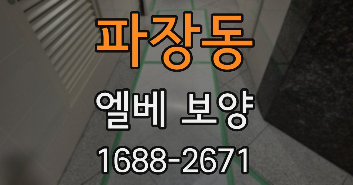 파장동 엘베 보양