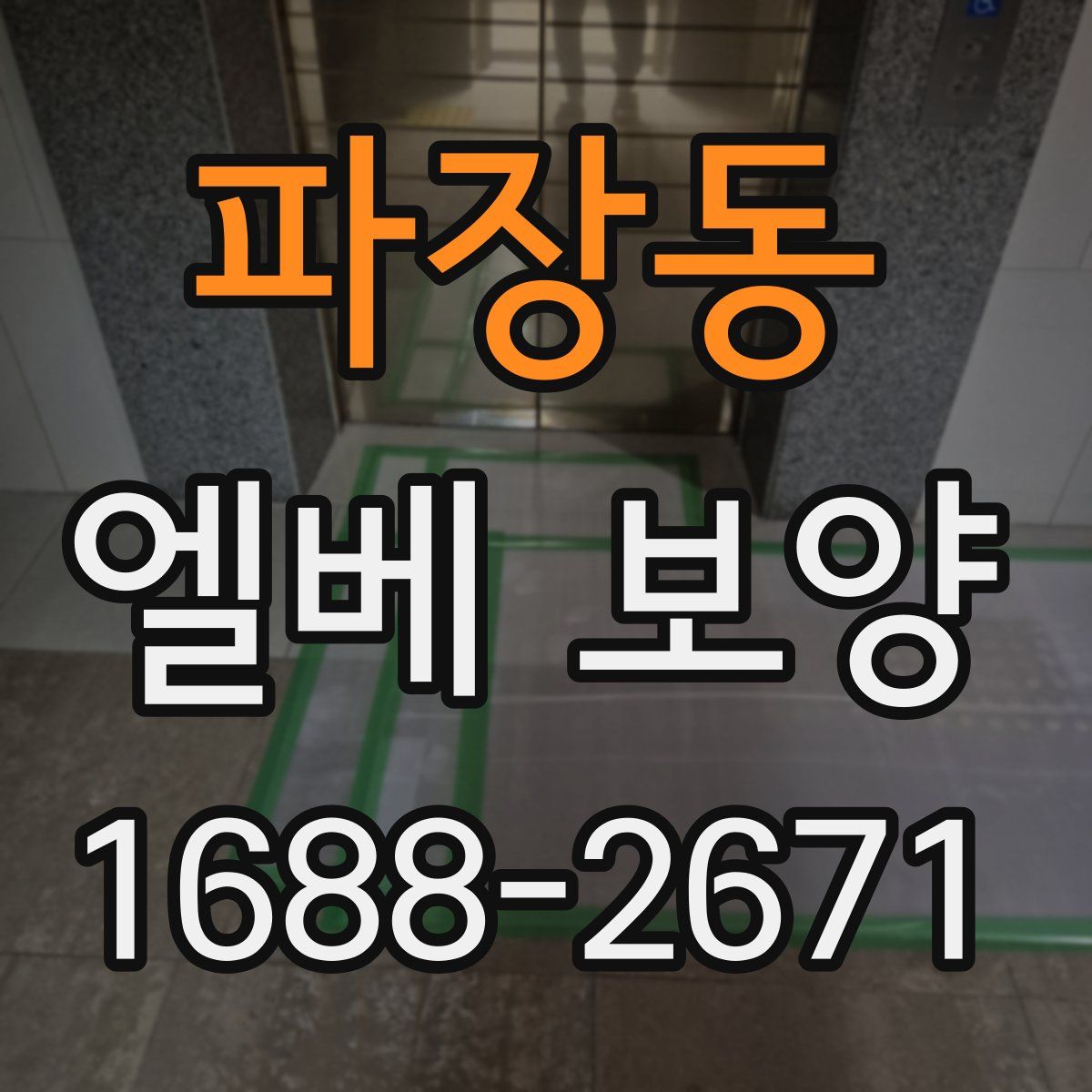 파장동 엘베 보양