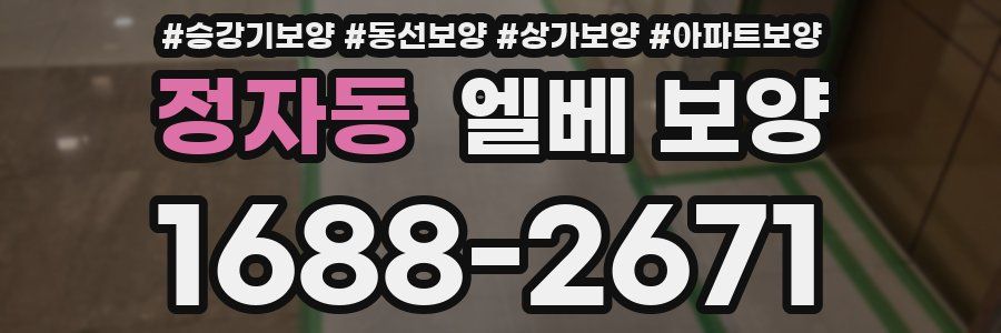 정자동 엘베 보양