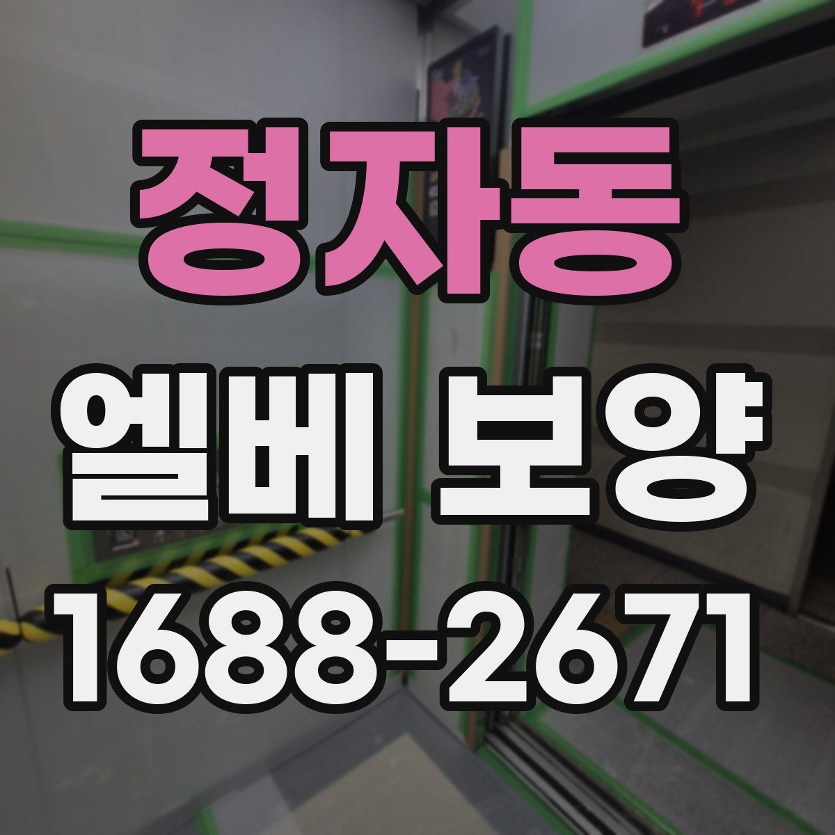 정자동 엘베 보양