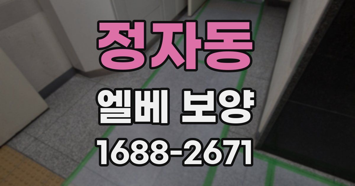 정자동 엘베 보양