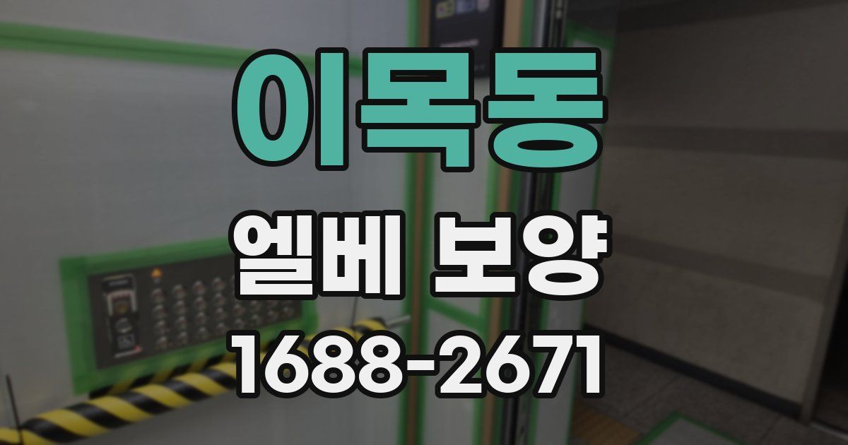이목동 엘베 보양