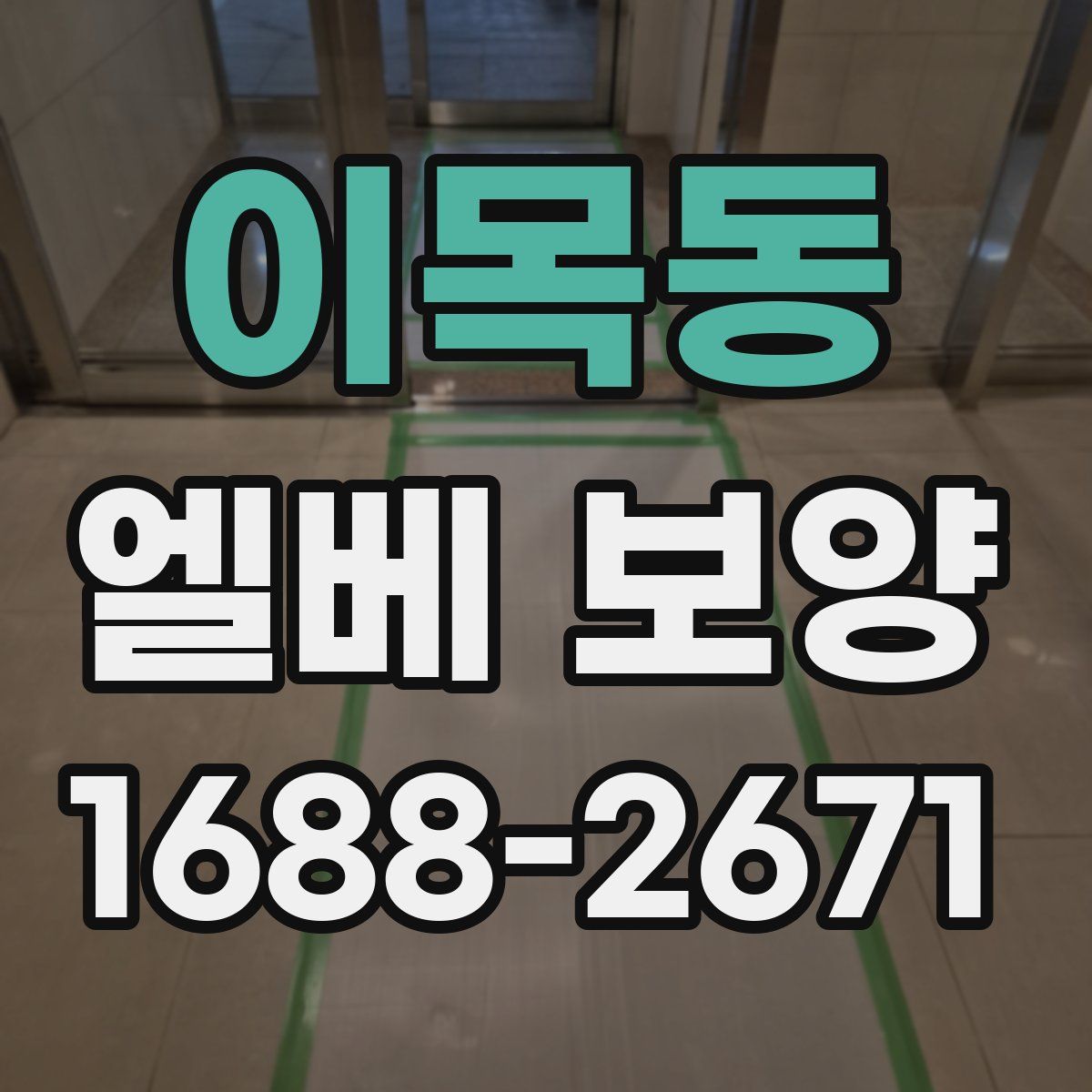 이목동 엘베 보양