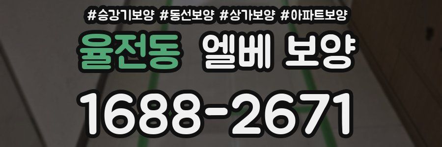 율전동 엘베 보양