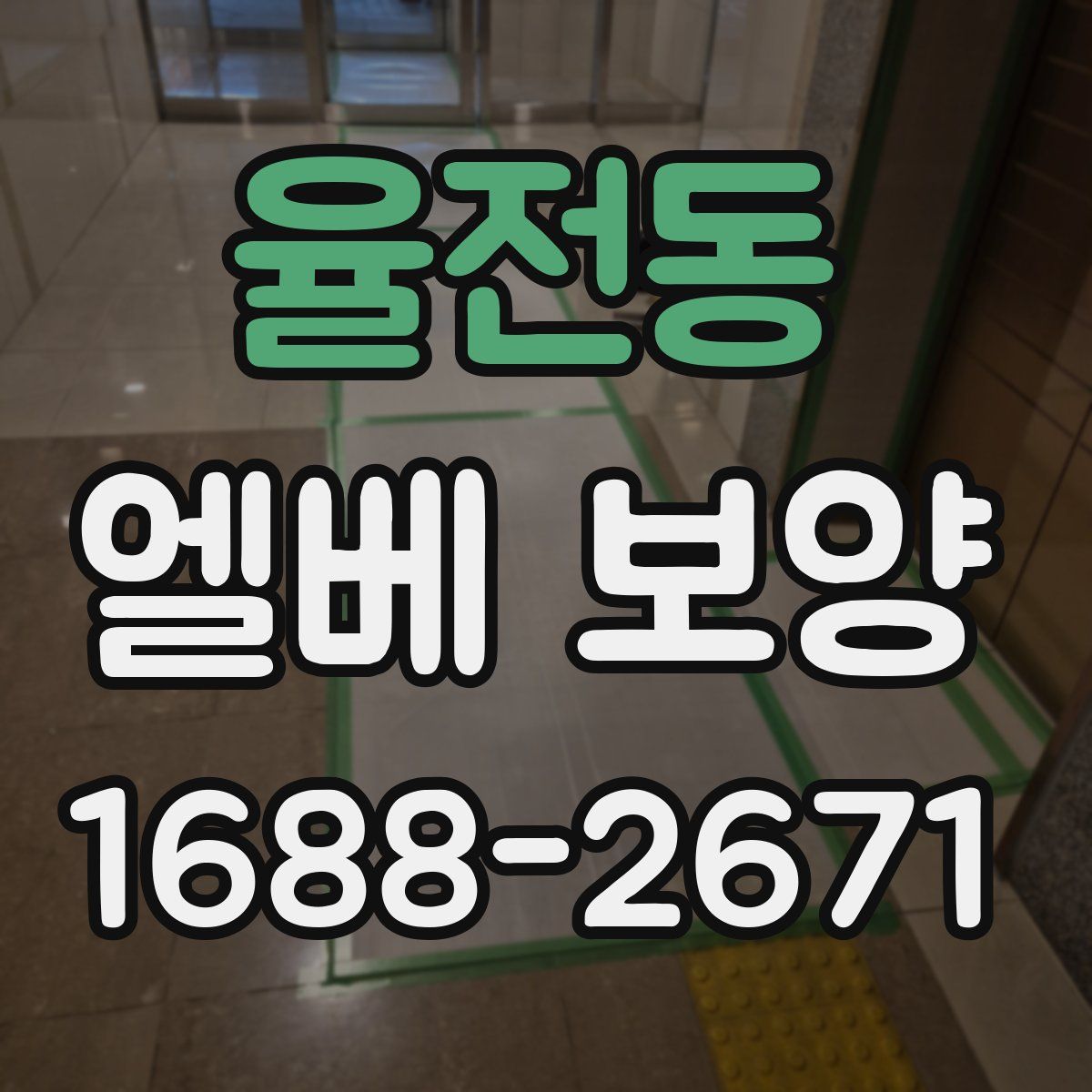 율전동 엘베 보양