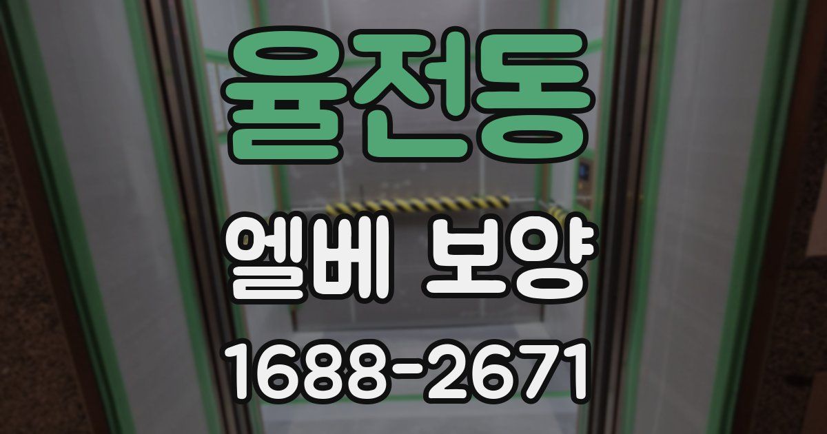 율전동 엘베 보양