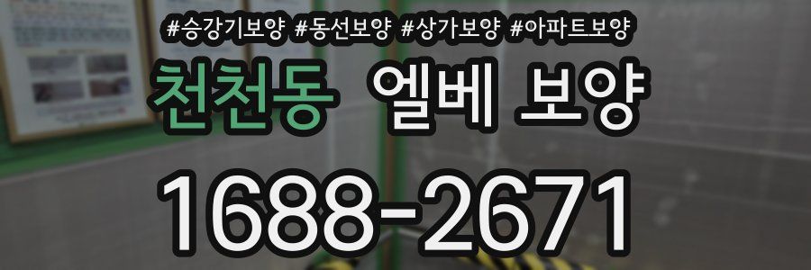천천동 엘베 보양