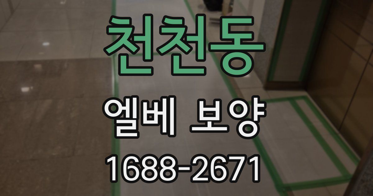 천천동 엘베 보양